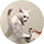 Alex_FPS